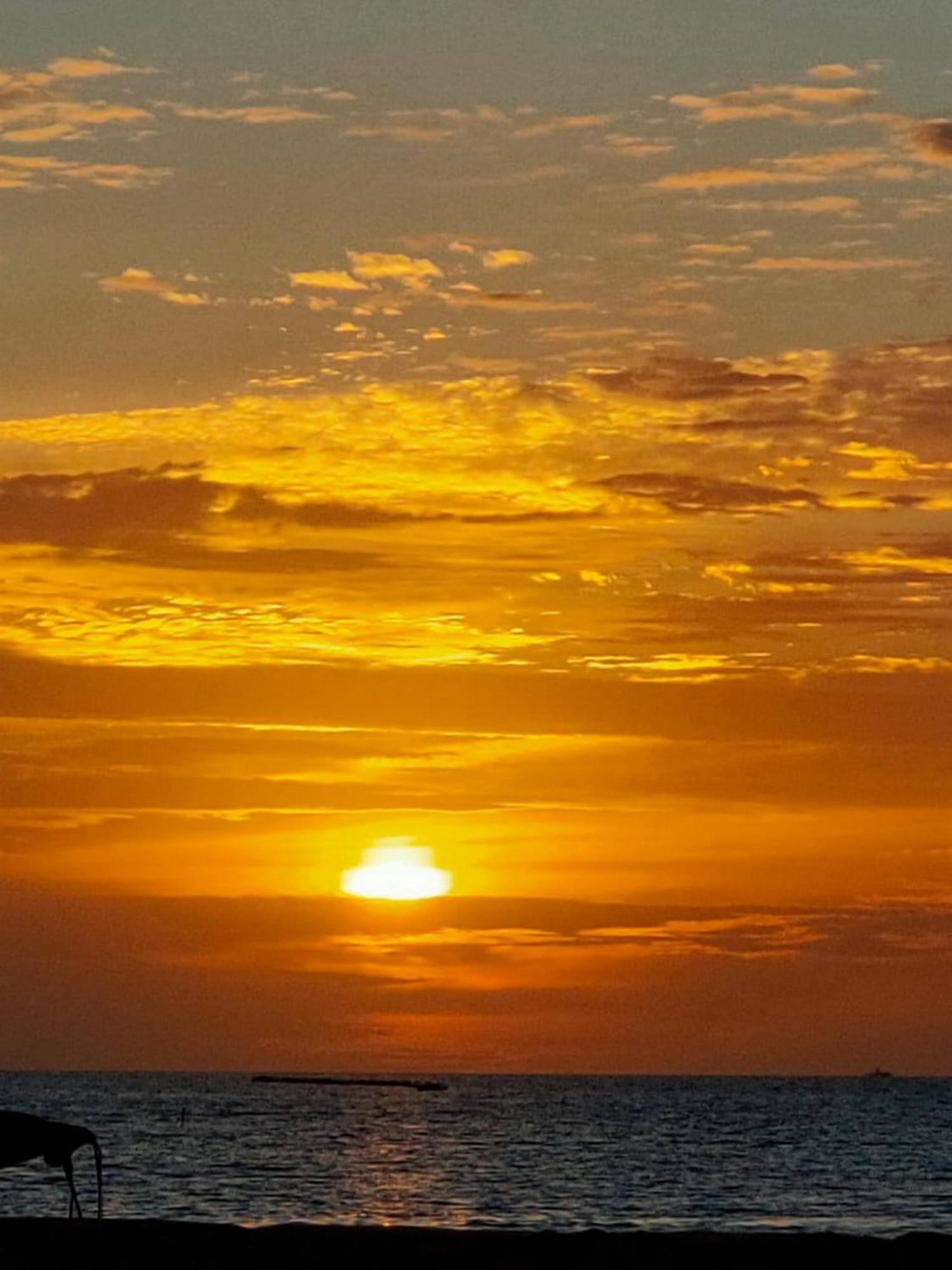 Wind Breeze Sunset View Inn Guraidhoo  Eksteriør billede