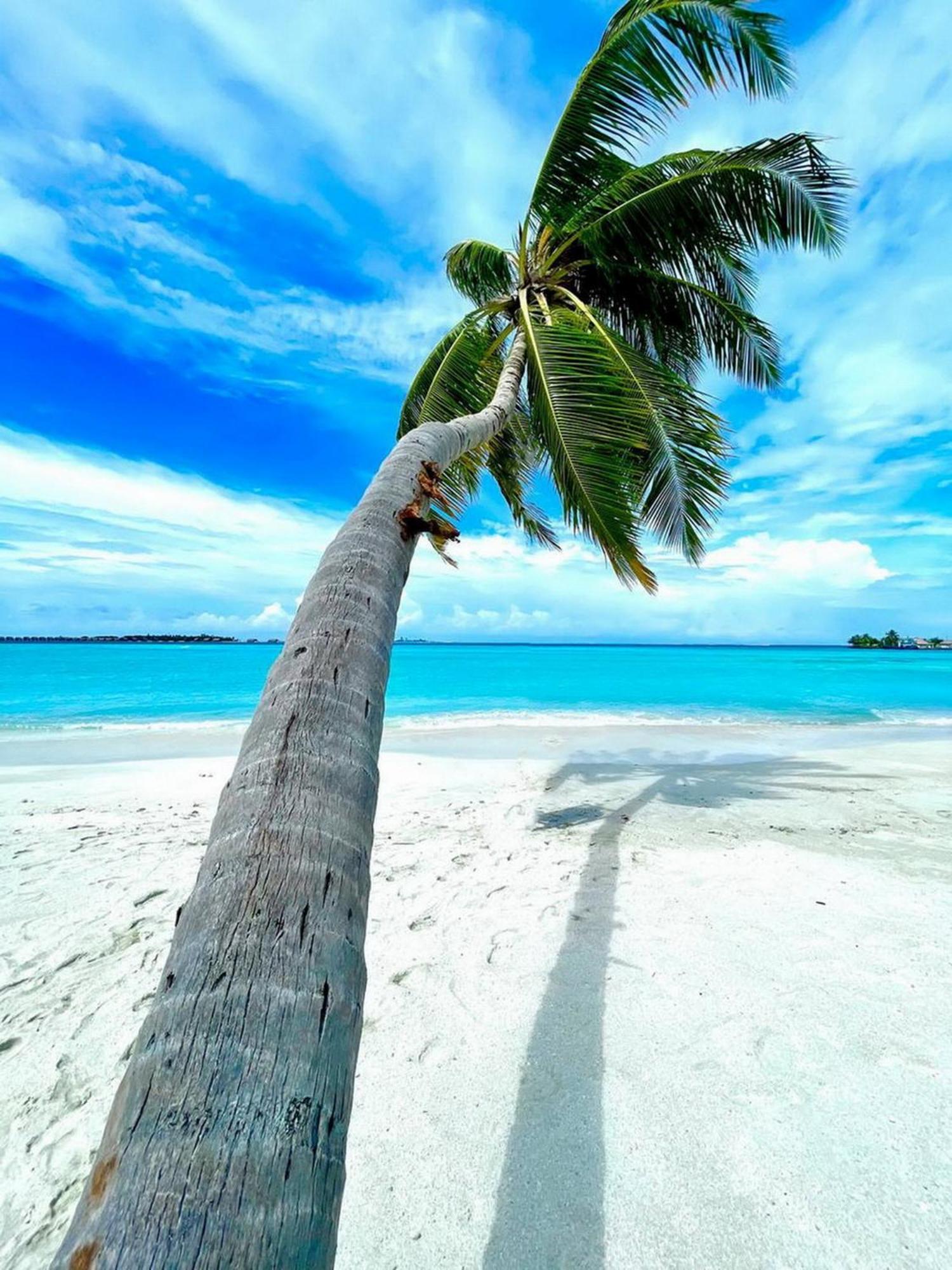 Wind Breeze Sunset View Inn Guraidhoo  Eksteriør billede